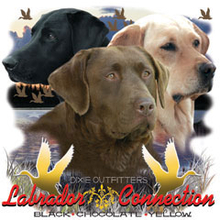 6477L LABRADOR CONNECTION