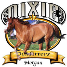 4805L MORGAN HORSE