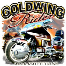 6399L GOLDWING RIDER