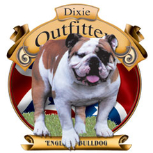 4111L ENGLISH BULLDOG