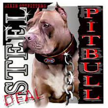 5762L STEEL DEAL - PITBULL